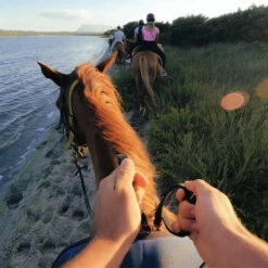 Bandeau De Fixation Frontale 2.0 GoPro -Magasin D’Équipement De Caméra D’Action bandeau de fixation frontale 20 gopro 7