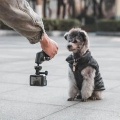 CapLock MantisPod Power GoPro Edition PGYTECH -Magasin D’Équipement De Caméra D’Action caplock mantispod power gopro edition pgytech 7