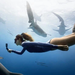 DJI Osmo Action 4 Standard Combo 21 DJI Osmo Action 4 Standard Combo -Magasin D’Équipement De Caméra D’Action dji osmo action 4 standard combo 9