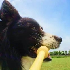 Fetch Stick Insta360 GO 3 -Magasin D’Équipement De Caméra D’Action fetch stick insta360 go 3 5