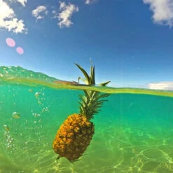 GoPole Dome Switch Pour GoPro HERO8 18 GoPole Dome Switch Pour GoPro HERO8 -Magasin D’Équipement De Caméra D’Action gopole dome switch pour gopro 7