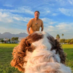 Harnais Insta360 Pour Animaux -Magasin D’Équipement De Caméra D’Action harnais insta360 pour animaux 6