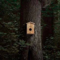 Nichoir à Oiseaux Avec Caméra Connectée Camouflage -Magasin D’Équipement De Caméra D’Action nichoir a oiseaux avec camera connectee camouflage 8